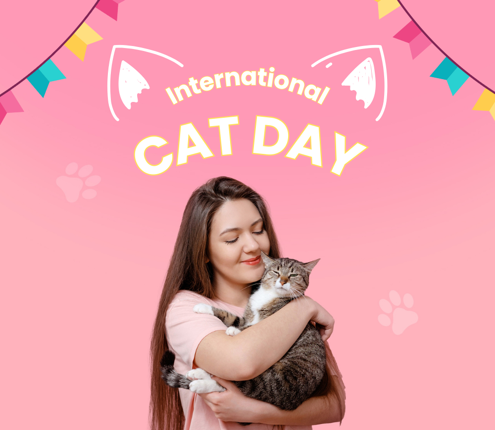 Celebrate National Cat Day in the UK Tips for Pampering Your Feline