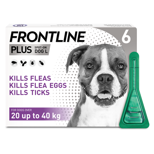 Drontal flea tick frontline plus 2025