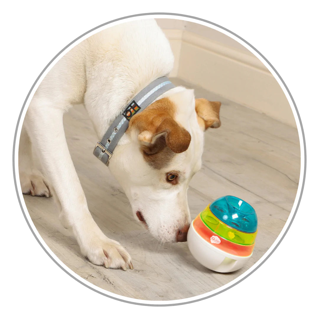 http://petwell.co.uk/cdn/shop/collections/Dog_Toys_1200x1200.webp?v=1674732982