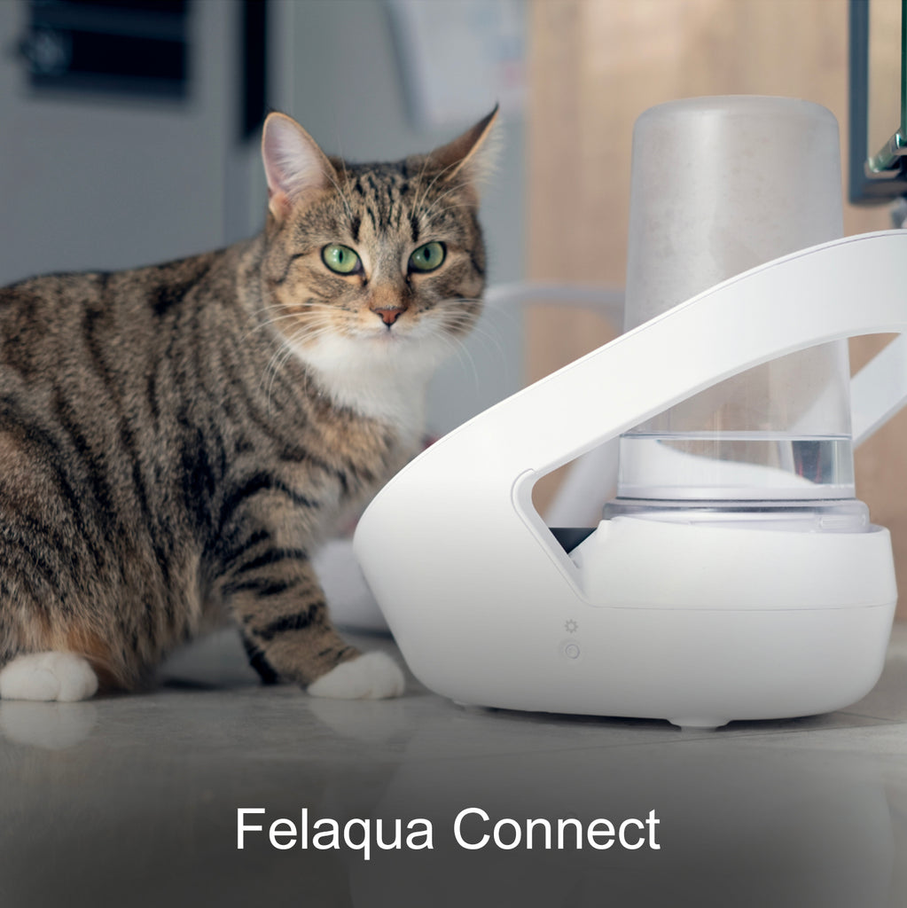 Felaqua Connect