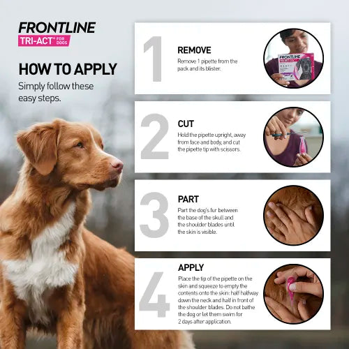 Frontline Tri Act - How To Apply Infographic Dog