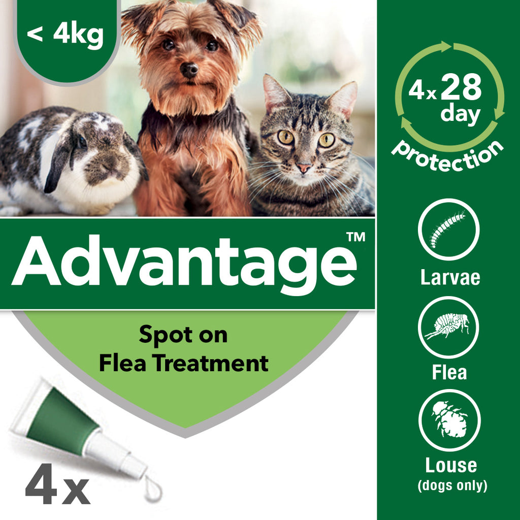 Advantage Spot On Flea Treatment