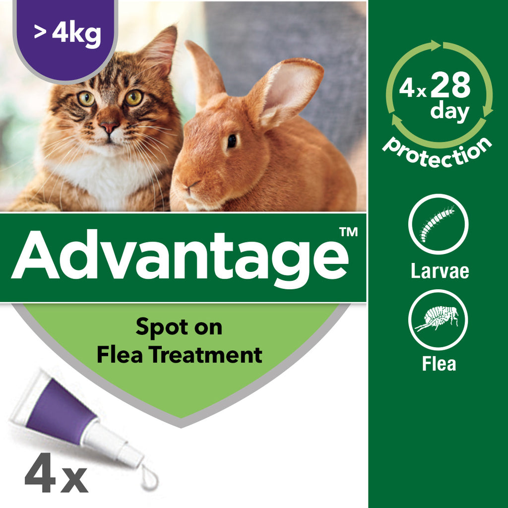 Advantage Spot on Flea Treatment