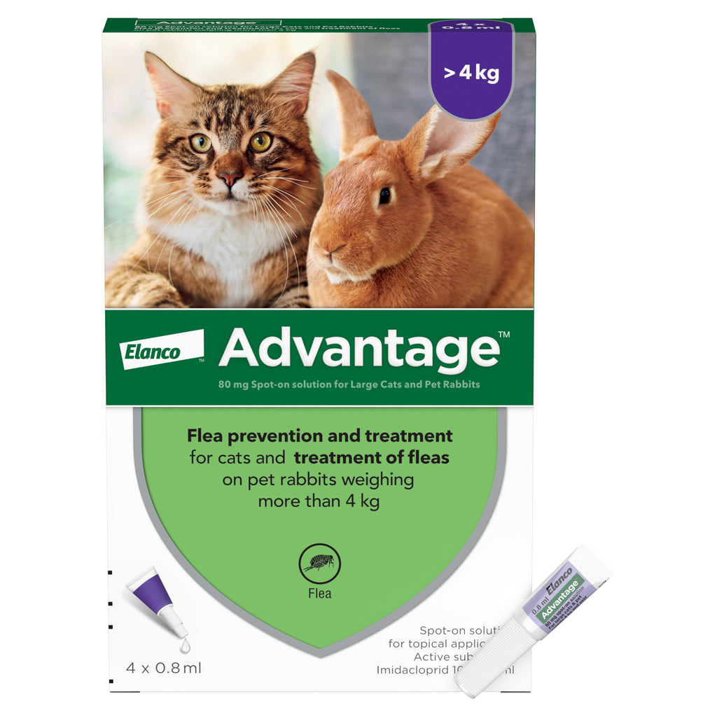 Advantage 80 Pack and Pipette