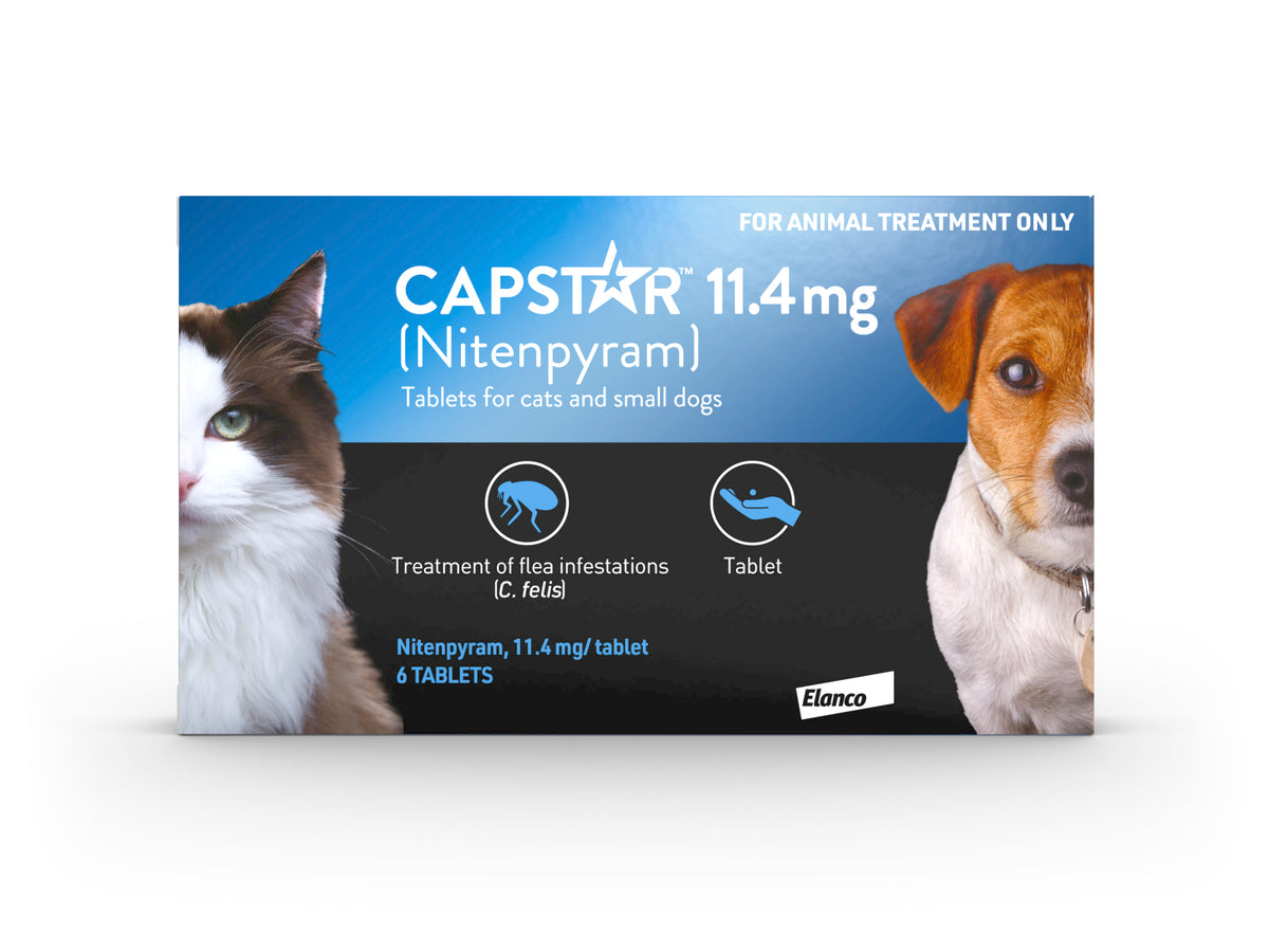 Beautiful view of Fast Acting Flea Supplement For Cats