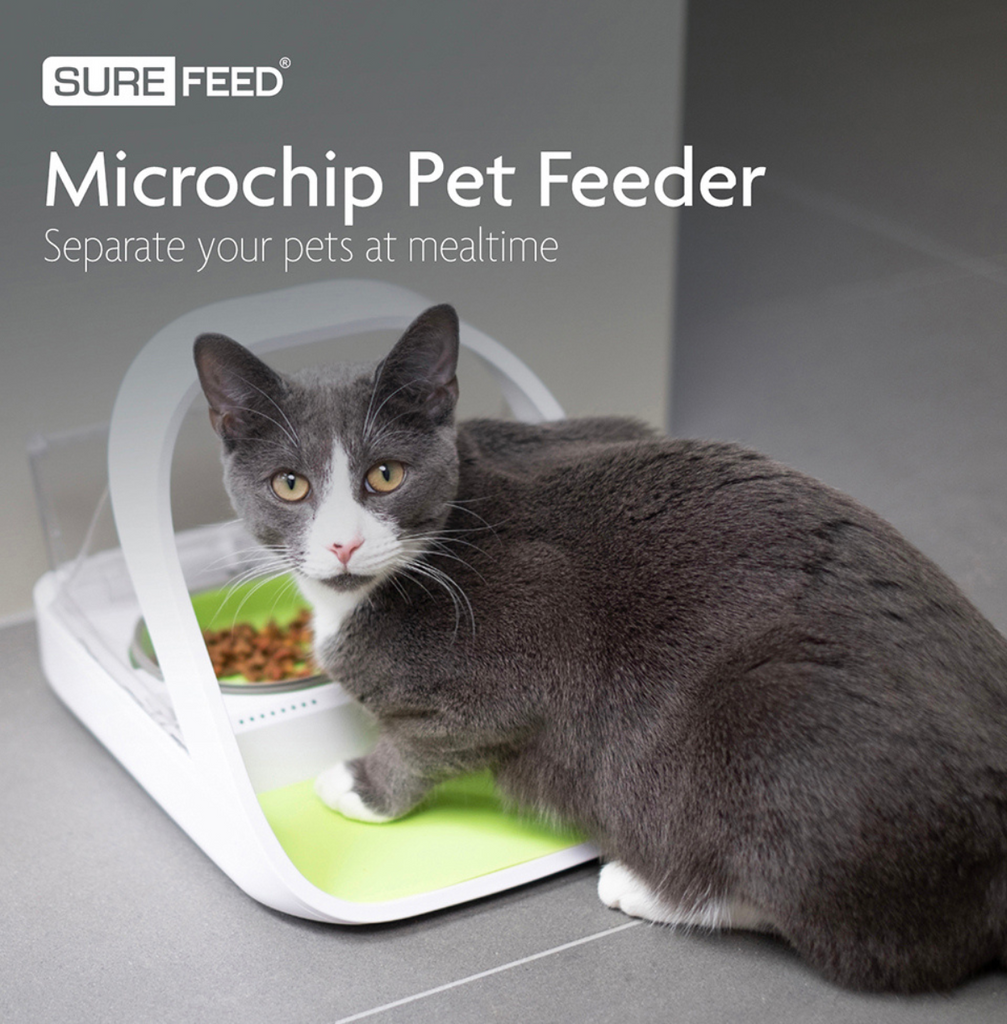 cat pet feeder