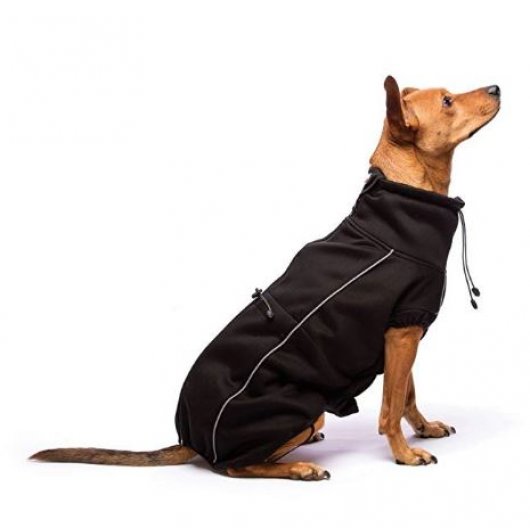 Dog Gone Smart Olympia Soft Shell Dog Coat Black