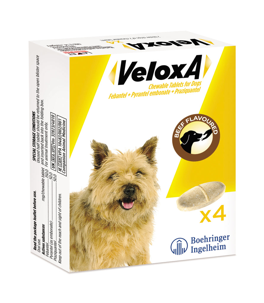 Veloxa Worming Tablets For Dogs