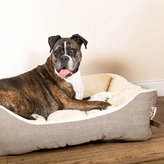 Dream Paws Tweedy Herringbone Dog Bed with Soft Warm Plush Inner
