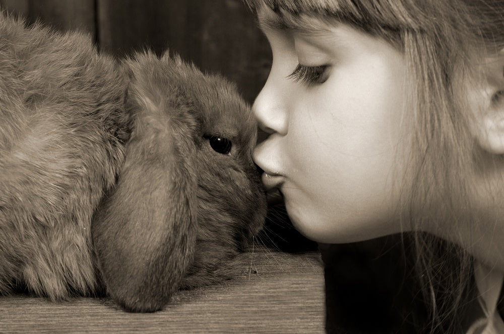 girl kissing a rabbit
