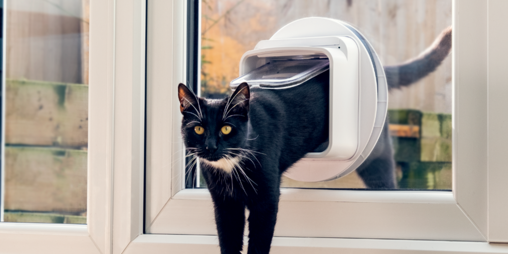 Stay Connected with Your Feline Friend: Introducing SureFlap Connect Microchip Cat Flaps