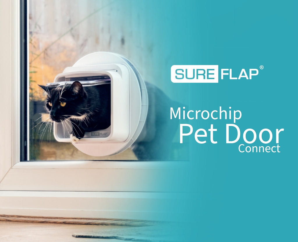 SureFlap Connect: Smart pet doors for happier pets