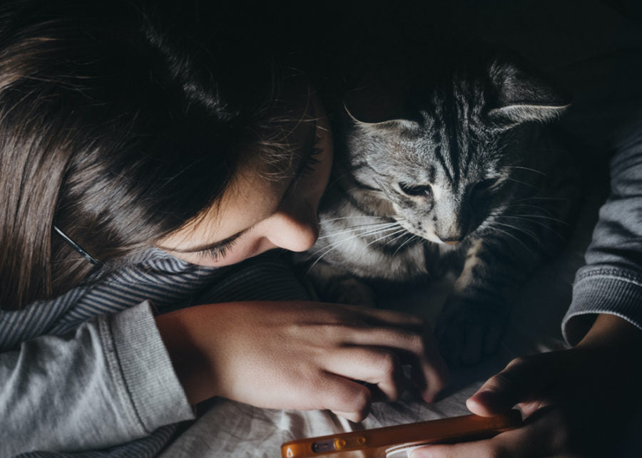 girl and cat looking at the phone