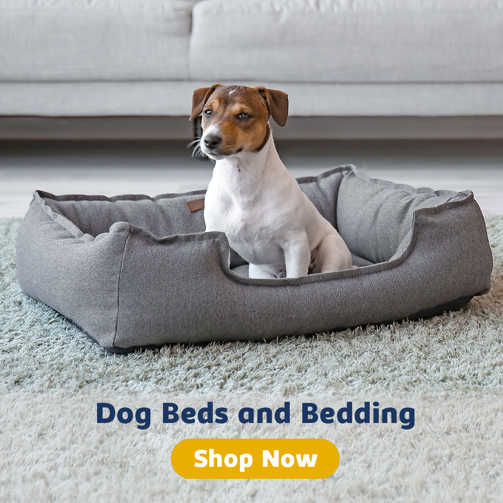 Dogs Beds and Beddings | Beds for Large Dogs | Petwell