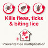 Beaphar Fiprotech Combo kills feas, ticks, & biting lice