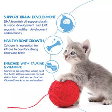 Ciao Churu 4 Pack Kitten Treat - Tuna Recipe - 4 x 14g