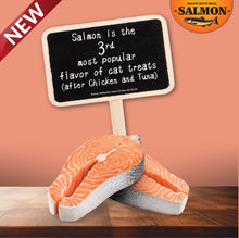 Ciao Churu 4 Pack Cat Treat - Salmon Recipe with Scallop Recipe - 4 x 14g