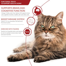 Ciao Churu 4 Pack Senior Cat Treat - Tuna with Salmon Recipe - 4 x 14g