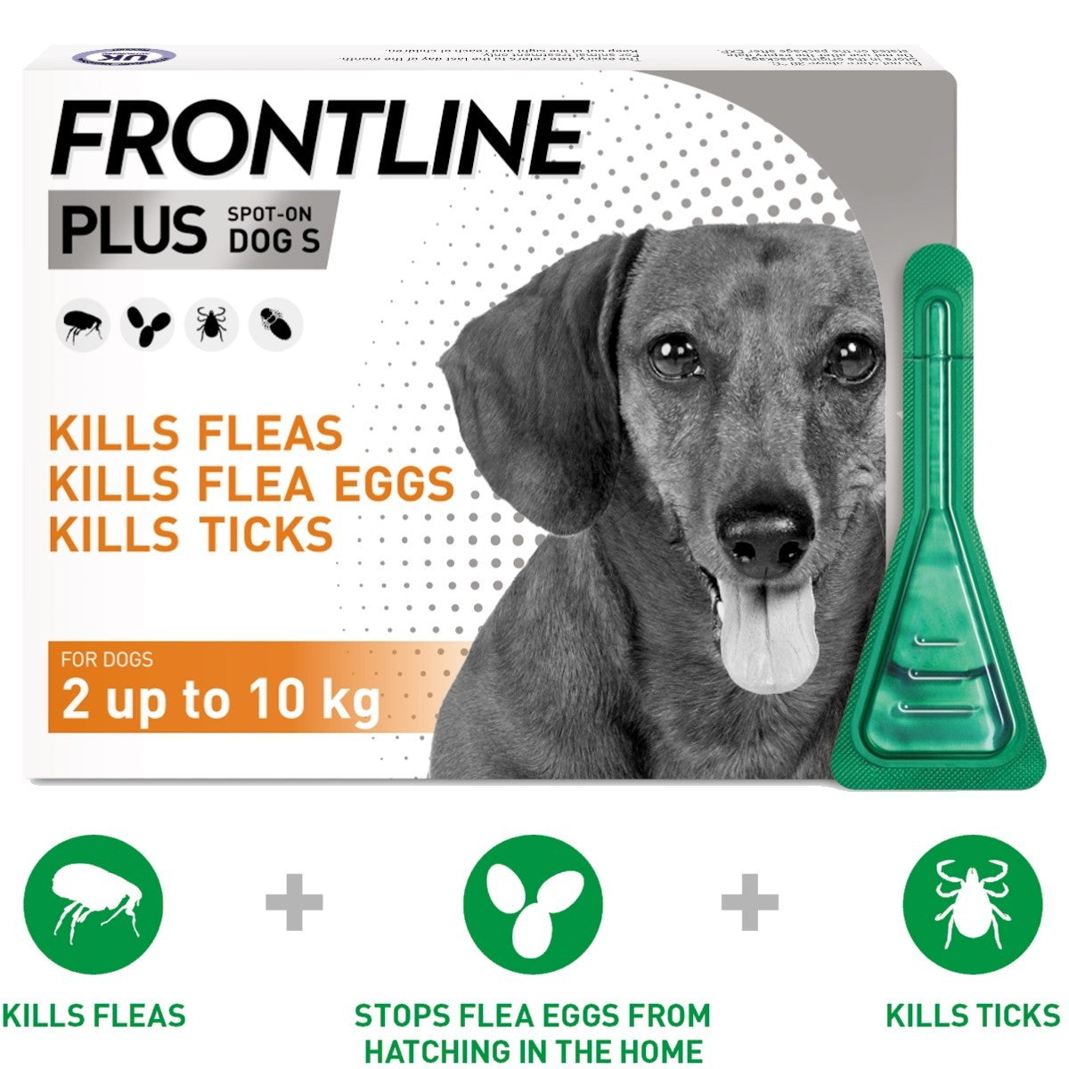 Tick and Flea Treatments for Dogs Frontline Plus Petwell