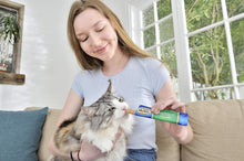 Ciao Churu Rolls 4 Pack Cat Treat - Chicken Recipe Wraps Tuna with Scallop Recipe - 4 x 10g