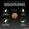 Complete dry food for medium puppies - PURINA® PRO PLAN® Medium Breed Puppy <1 Healthy Start Dry Dog Food with Chicken