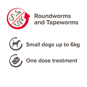 Roundworms and tapeworms