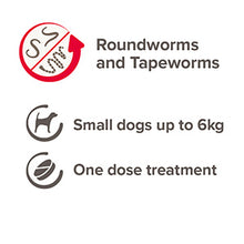 Roundworms and tapeworms