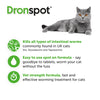 Dronspot