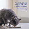 Ciao Bisque Cat Treat - Chicken Recipe - 40 g