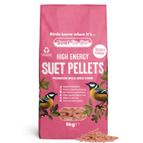 Front View of Suet to Go Suet Pellets Wild Bird Food - Berry - 5kg