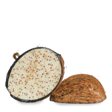 Suet to Go Suet Half Coconut Feeder Wild Bird Food - Mealworm - 10 Pack