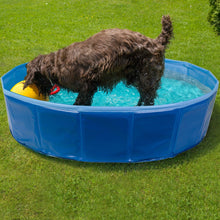 Pet Swimming Pool