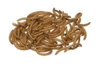Front View of Bucktons Wild Bird Food - Mealworms - 12.55kg