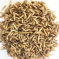 Front View of Bucktons Calciworms Wild Bird Food - 12.55kg