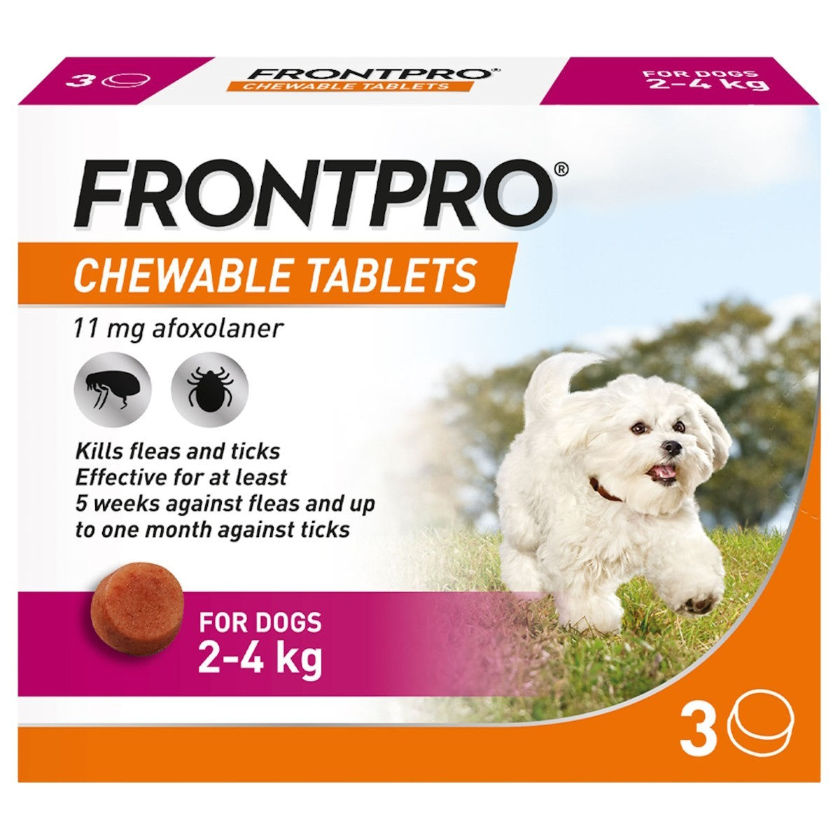 Best Dog Flea Tablets UK: Top Effective Solutions Reviewed
