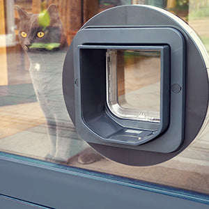 Pet Supplies Microchip Cat Flap Black SureFlap® Microchip Cat Flap