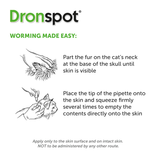 Dronspot - Working made easy