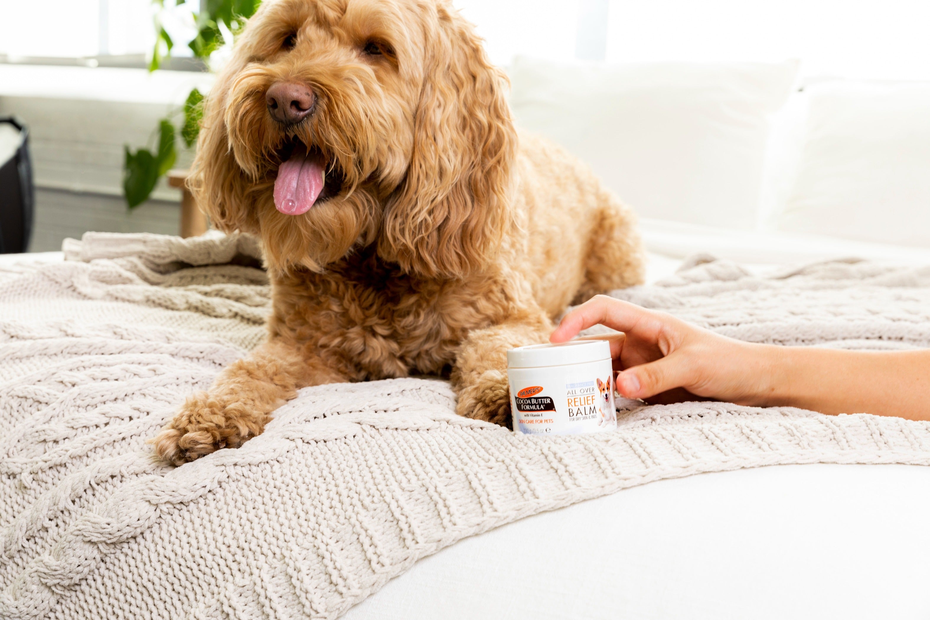 is palmer's cocoa butter safe for cats Palmer's for Pets Paw Pad & Nose Balm with Cocoa Butter