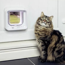 A cat is sitting beside the Sureflap Microchip Cat Flap White