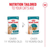 Royal Canin Ageing 11+ Senior Wet Cat Food Chunks In Jelly - 12 x 85g