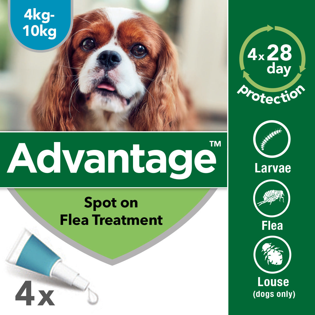 Advantage Spot On Flea Control 100 for Dogs at Petwell