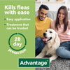 Advantage Kills Fleas with Ease