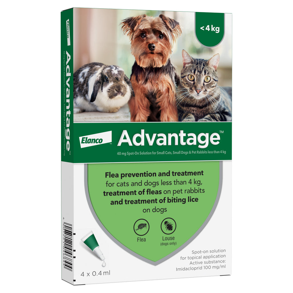 Advantage flea prevention and treatment for cats and dogs