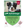 Advantage Dog 250 Pack and Pipette