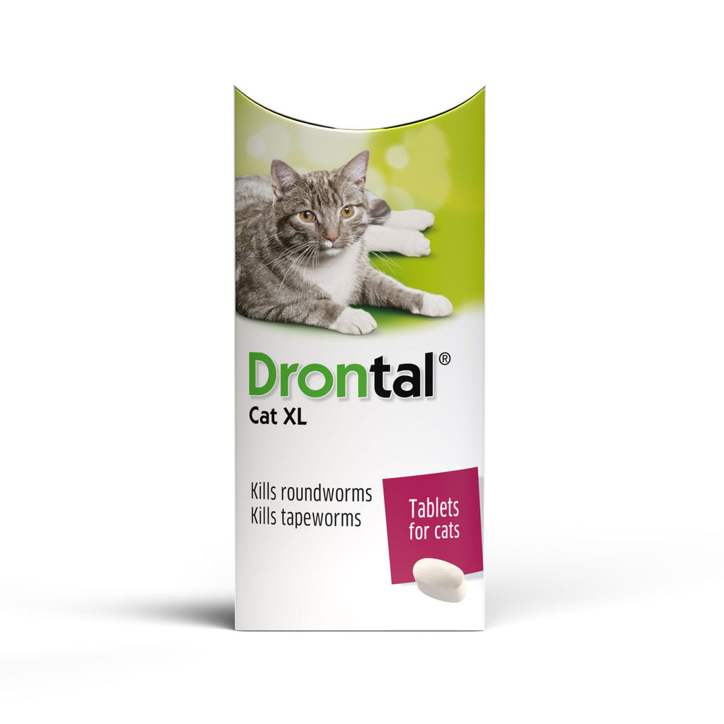 Drontal XL Worming Tablets for Large Cats and Kittens
