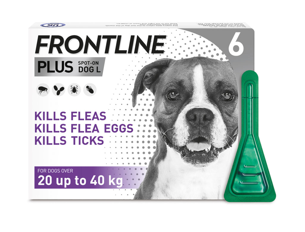 Frontline Plus Spot On for Dogs 6 Pipette - 20 up to 40kg