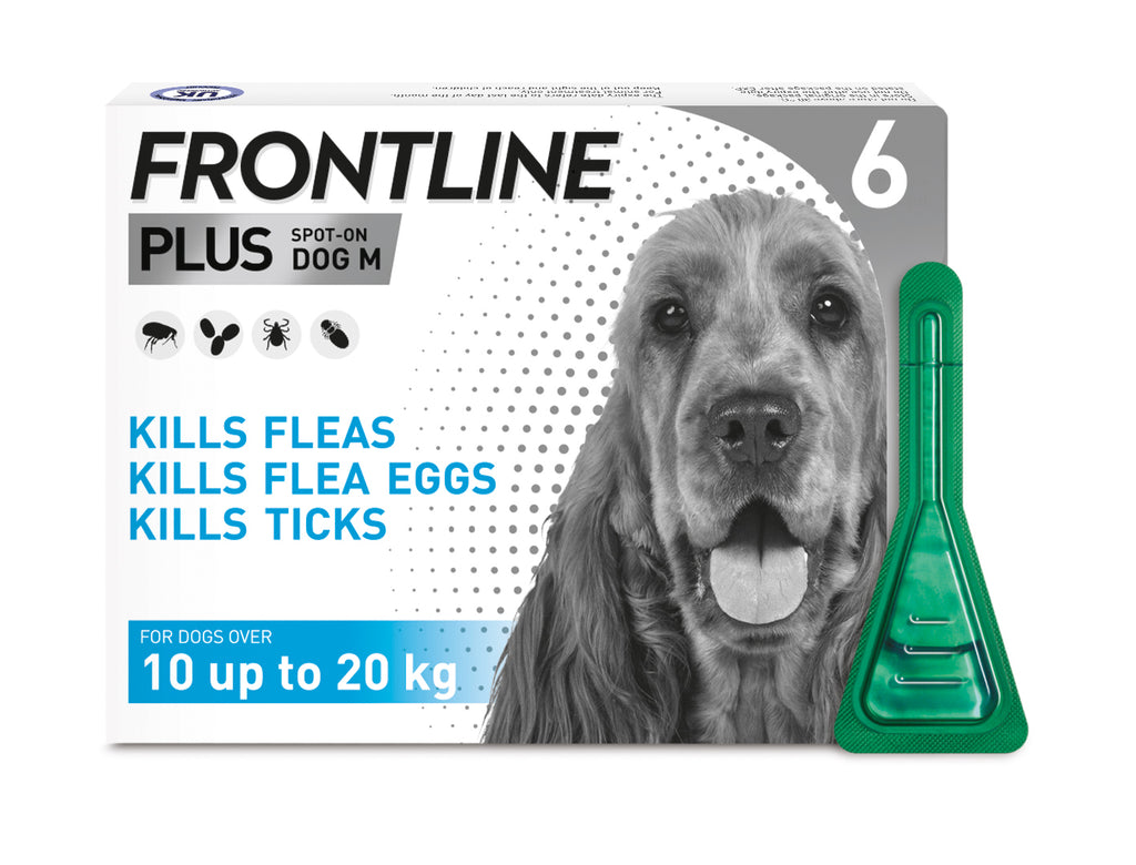 Frontline Plus Spot On for Dogs 6 Pipette - 10 up to 20kg