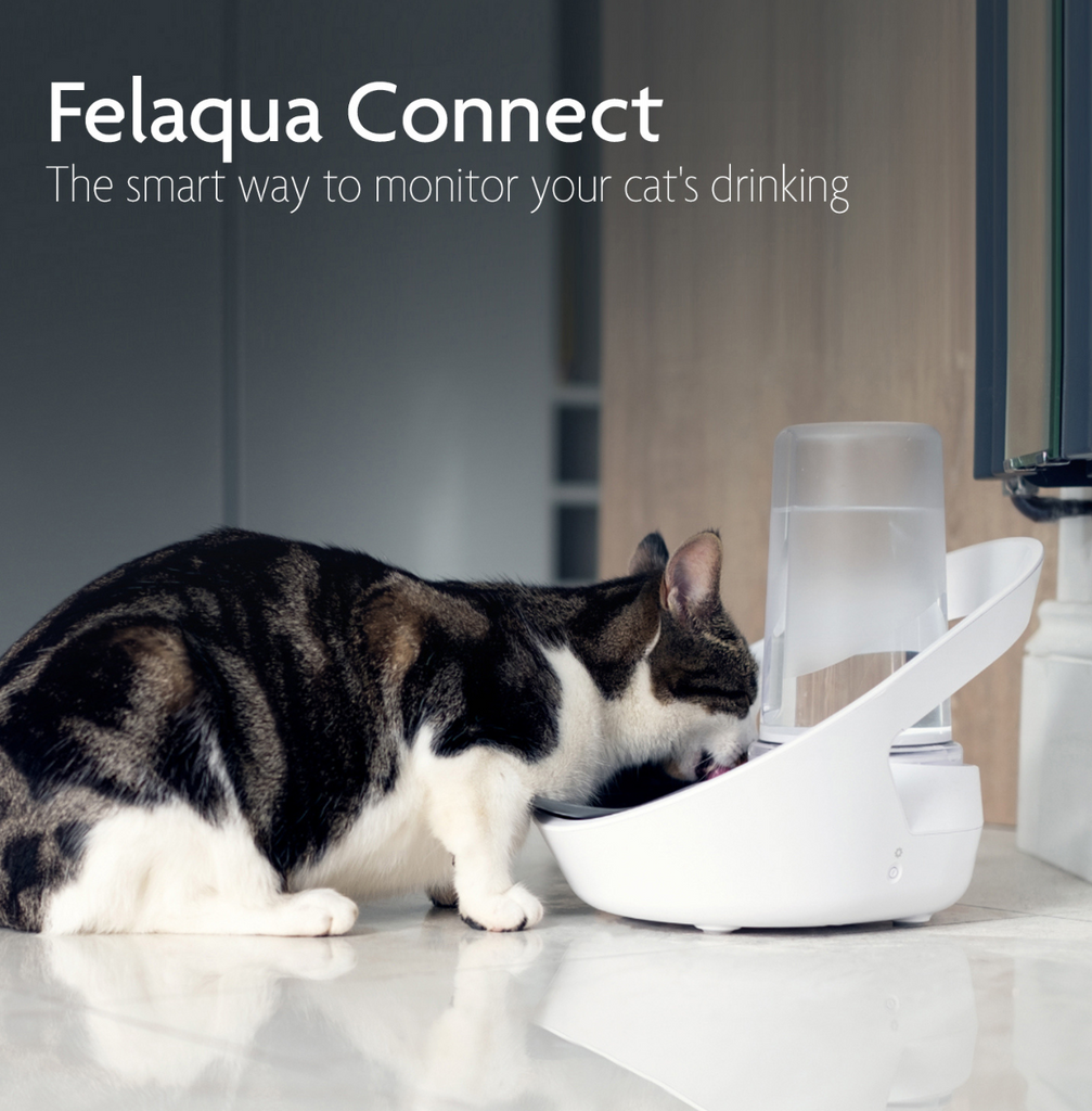 Felaqua Connect