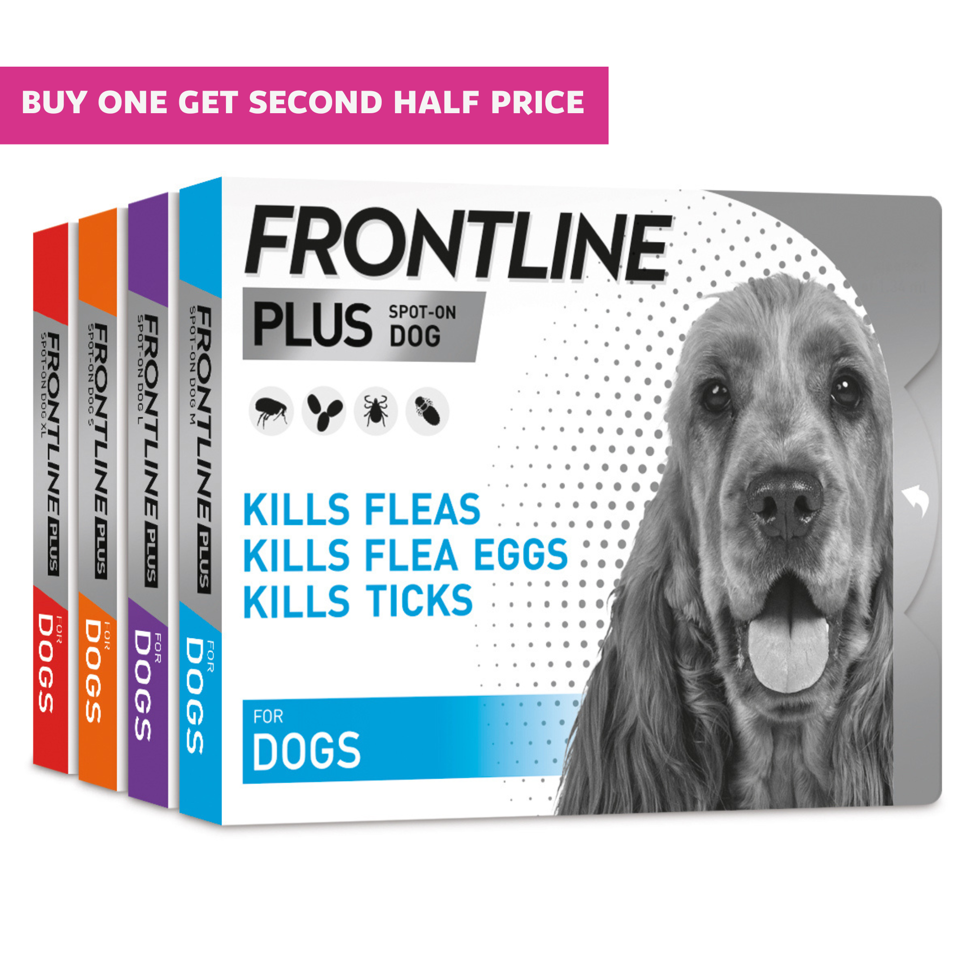 Tick and Flea Treatments for Dogs Frontline Plus Petwell