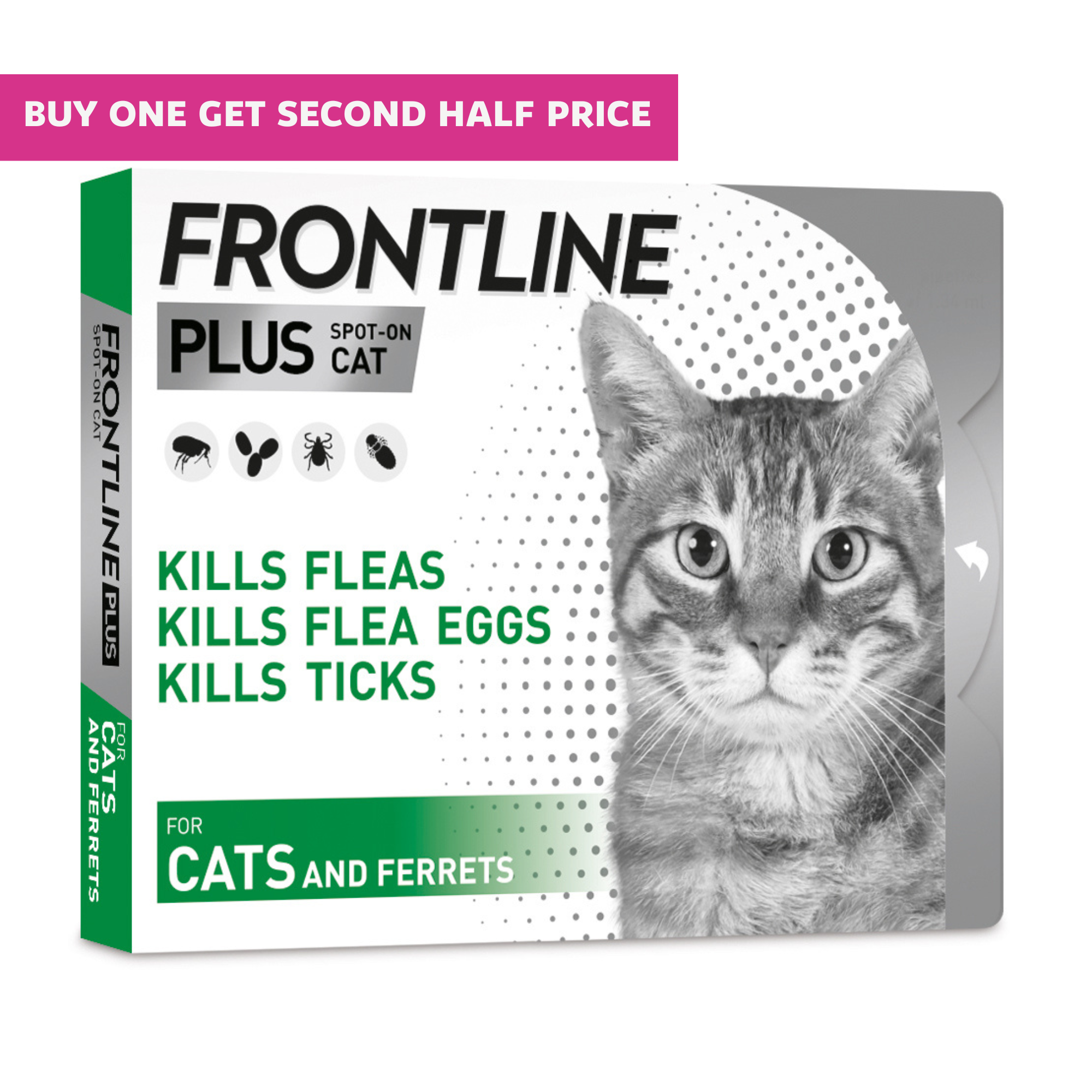 Flea and tick control cats online